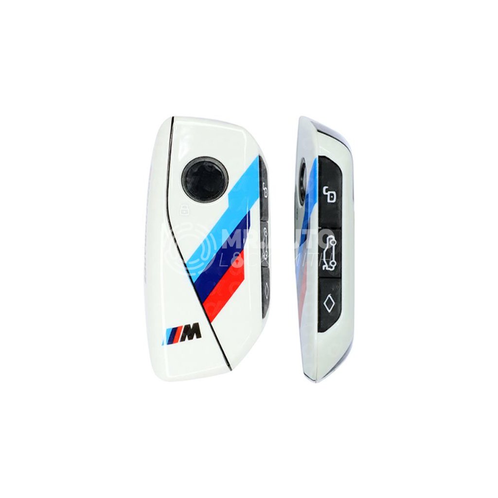 BMW CAS4 FEM